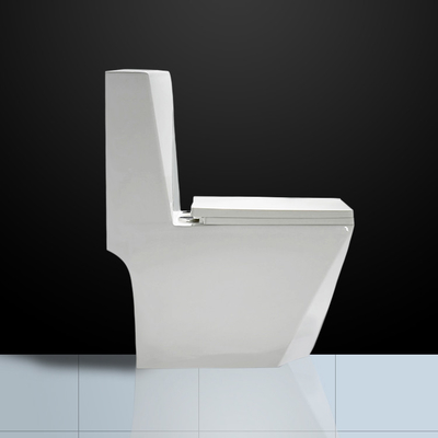Floor Mounted Ceramic One Piece Toilet Siphoinc Washdown dual flush